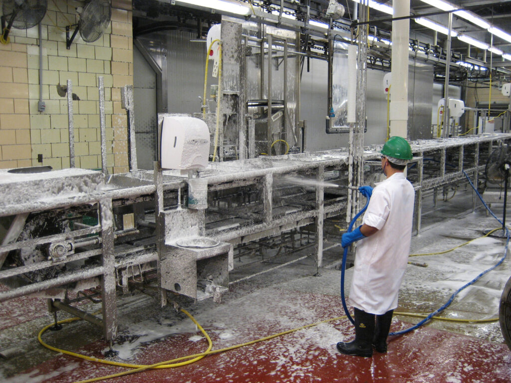 Worker disinfecting using foaming equipment in food processing